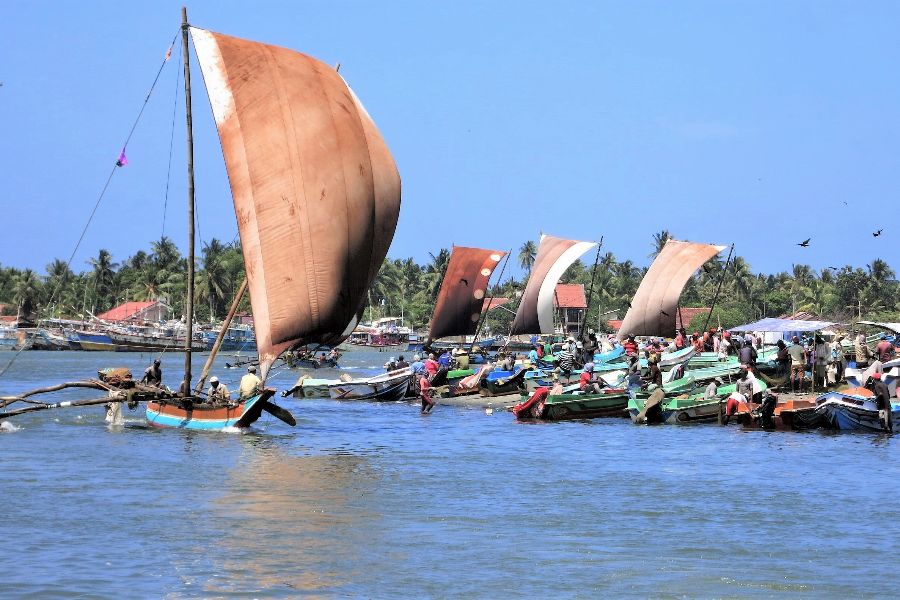 3. Opening page - catamarans.JPG